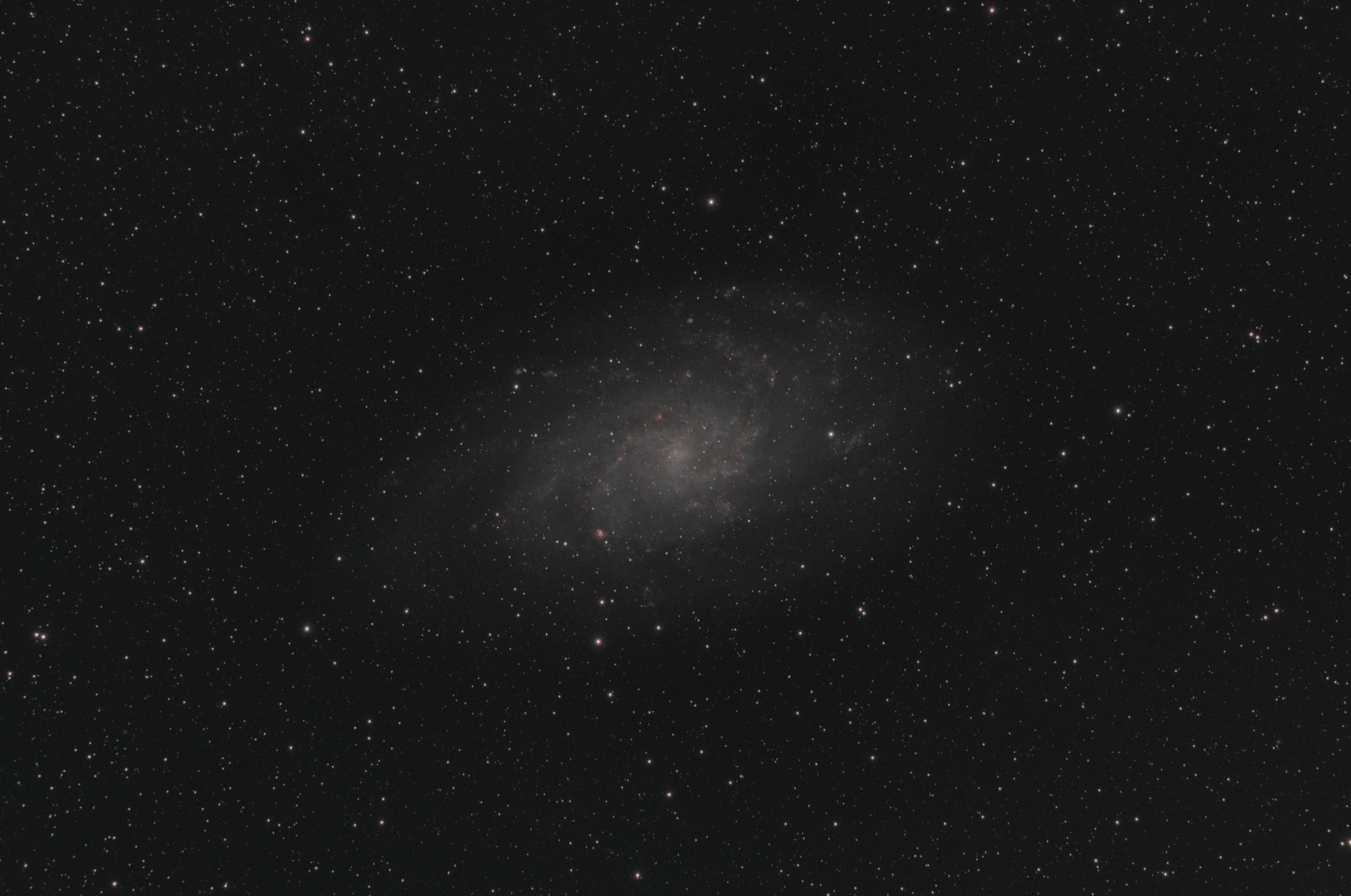 M33